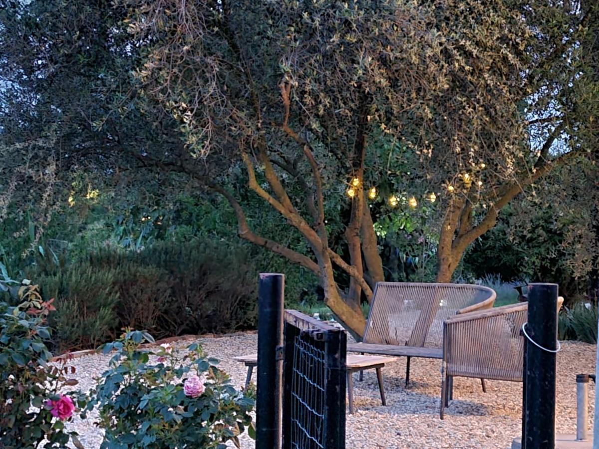 Tenuta Dei Vicini - Luxury Apartments San Marzano Oliveto Εξωτερικό φωτογραφία